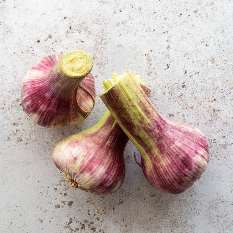 BUY WET GARLIC | FRESH GARLIC | FINE & WILD UK 