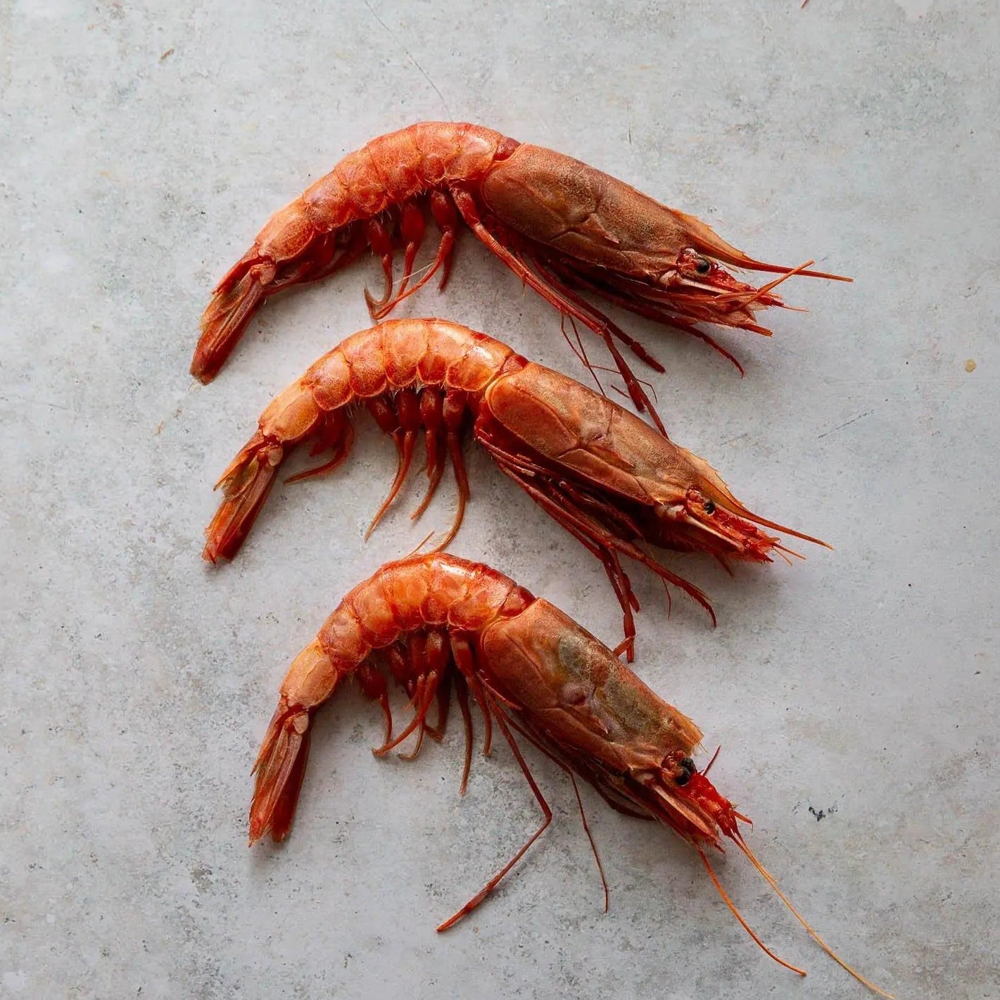 Gambero Rossa Sicilian Scarlet Prawns | Fine & Wild UK