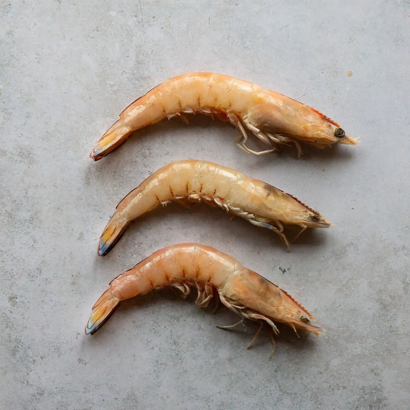 SHARK BAY PRAWNS | FINE & WILD UK 