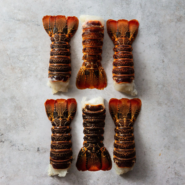 ROCK LOBSTER TAILS
