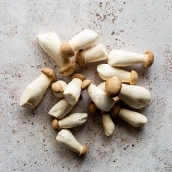 BABY KING OYSTER MUSHROOMS | FINE & WILD UK 