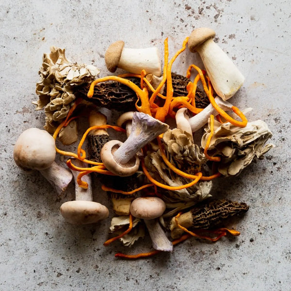 FRESH MUSHROOM MIX 250g