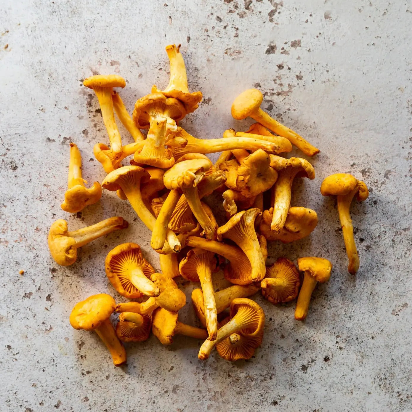 Fresh Girolle Mushrooms | FINE & WILD UK 