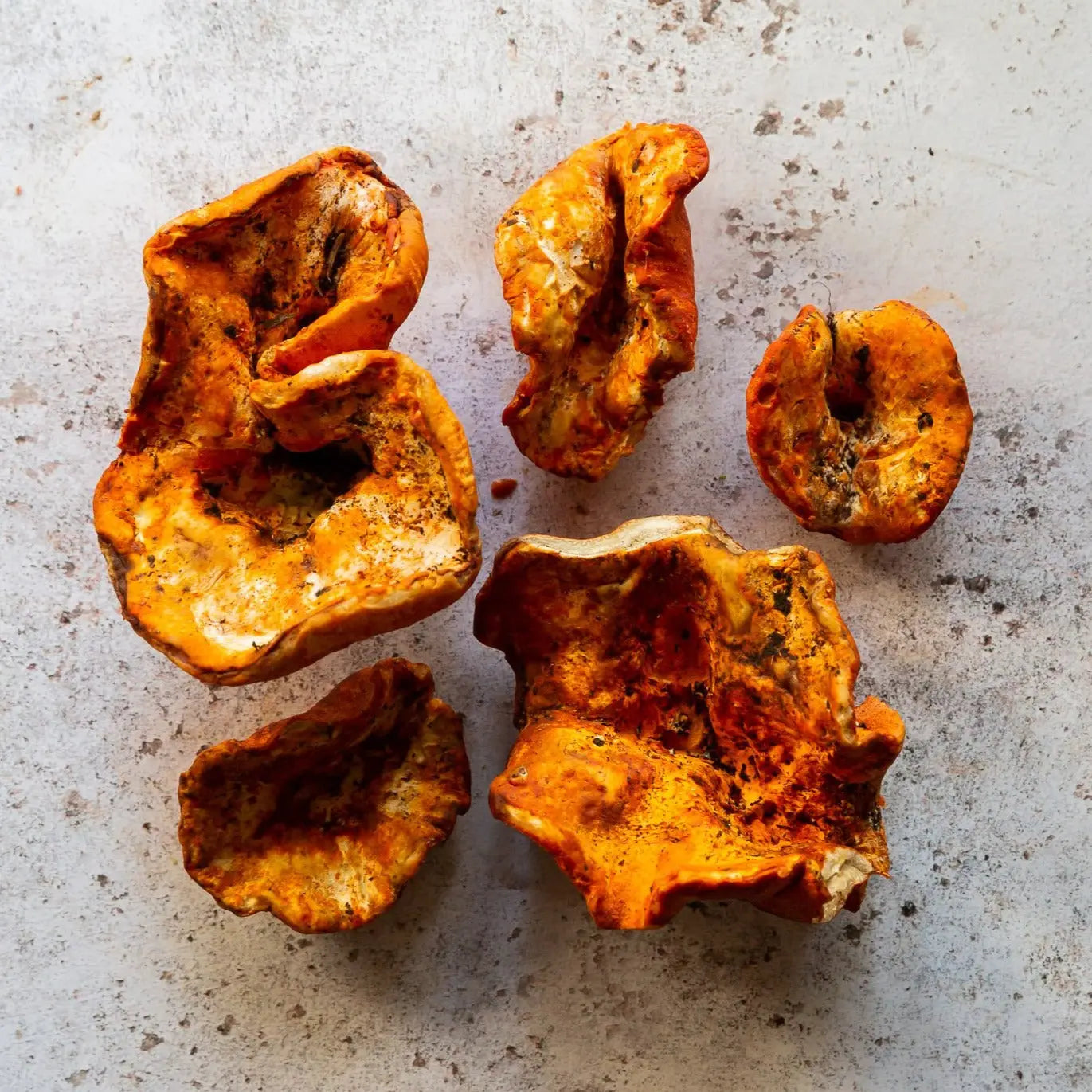 Fresh Lobster Mushrooms | FINE & WILD UK 