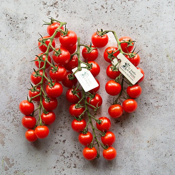 LE JARDIN RABELAIS - CHERRY TOMATOES 500g±