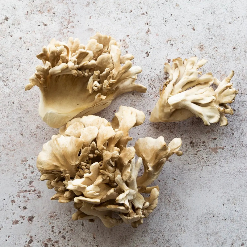 FRESH MAITAKE (HEN OF THE WOODS) 150g