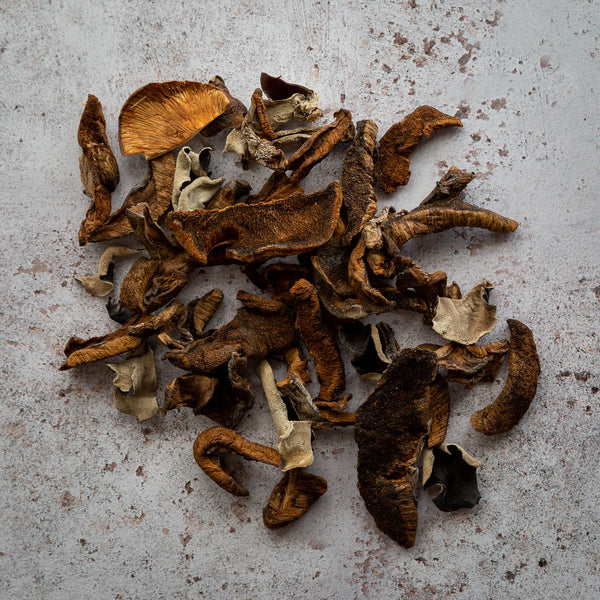 Plantin dried Mixed Mushrooms - FINE & WILD UK
