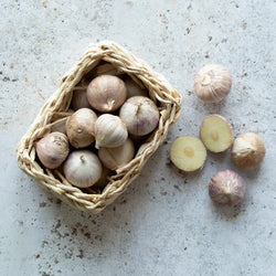 SINGLE CLOVE GARLIC