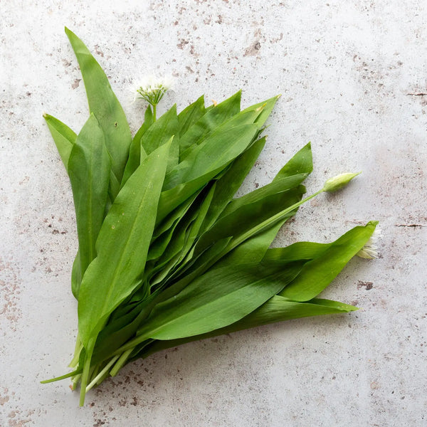 WILD GARLIC 150g