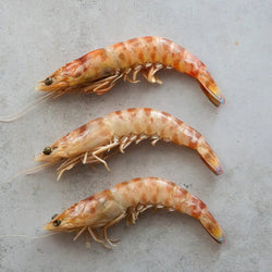 WILD TIGER PRAWNS 1kg±