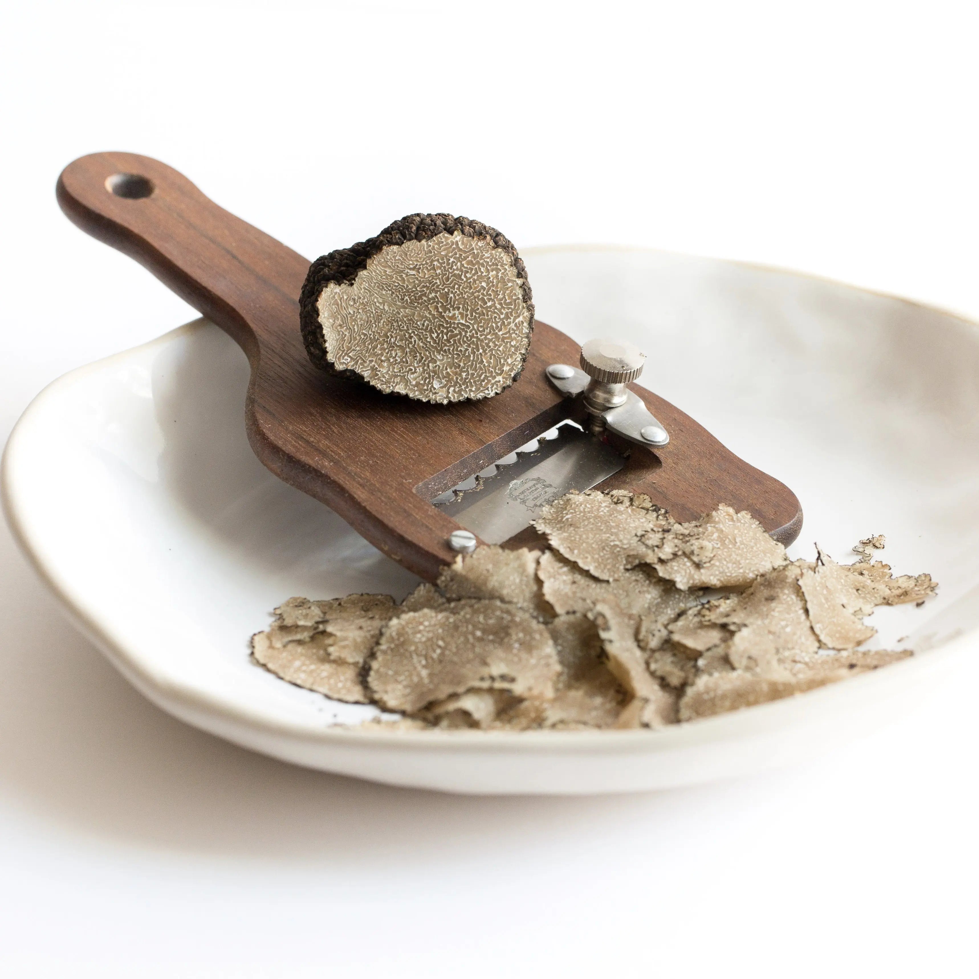 Fresh Autumn Truffle 