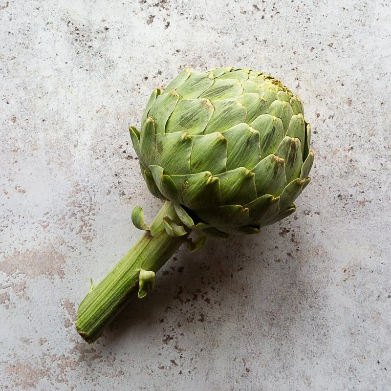 CALICO GLOBE ARTICHOKE 600g±