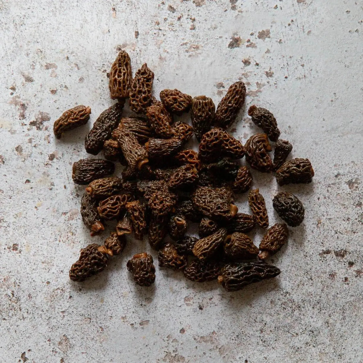 extra quality preserved morels
